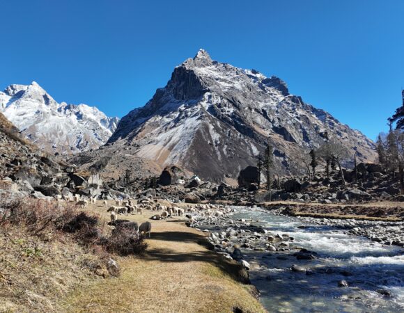 Gaumukh Tapovan Trek (5N- 6D; Ex- Dehradun; 13000/head)