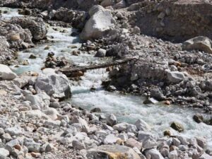 Bhagirathi contributing river