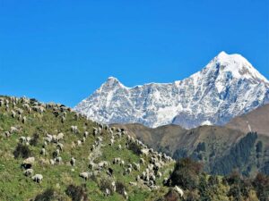Nanda Devi peak