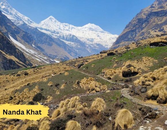 Pindari Glacier Trek (Ex-Kathgodam; 5N-6D; 9500/head)
