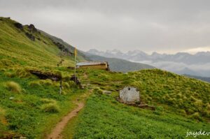 Rudranath trek trail