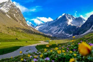 Hampta pass trek