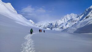 Panpatia's white desert