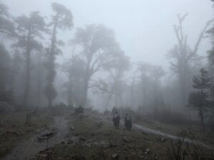 Kuari pass trek