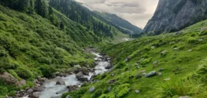 Bhrigu Lake Mountain Streams and Beautiful Oak Forests