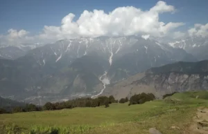 Gulaba