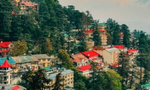 Shimla