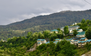 Joshimath