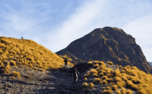 Ranthan Kharak Trek
