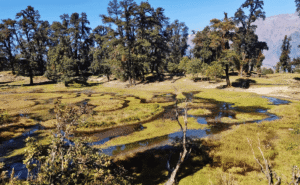 Ranthan Kharak Trek